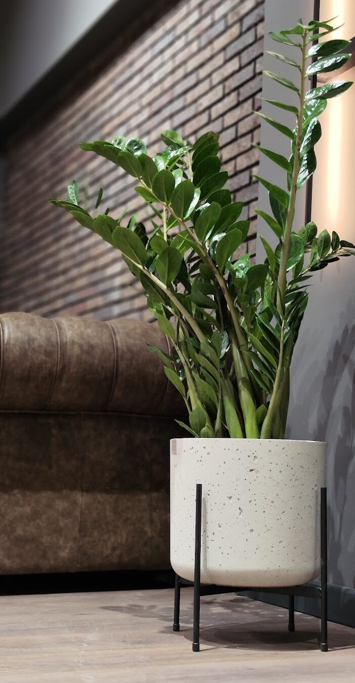 Betonska saksija Zegzy D34 na niskom metalnom nosaču