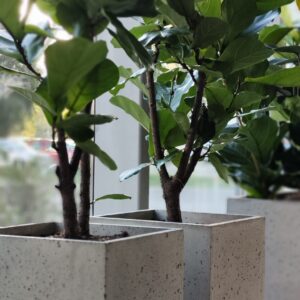 Betonska žardinjera Modulo 4.4.4